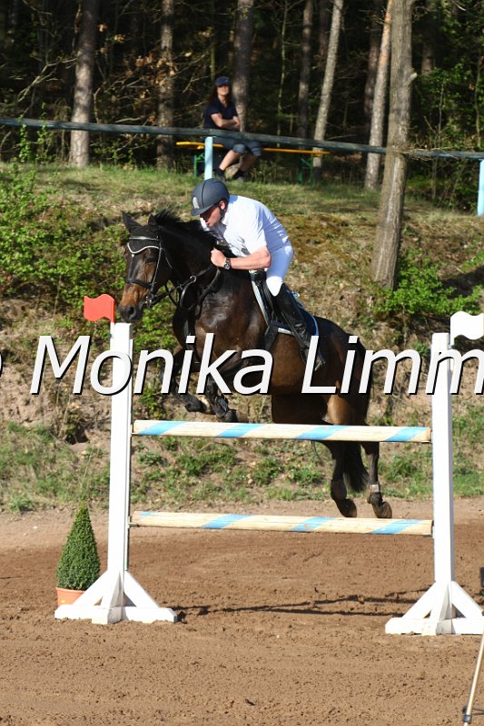 204M8844_Weicamee_Punkte M.JPG